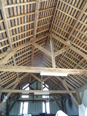 Barns to Convert into Habitation in Large Plot
