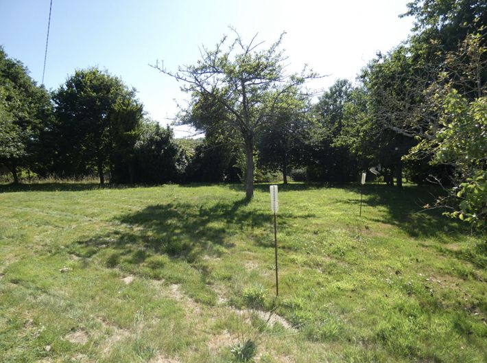 Countryside Barn to Develop, Huge Potential