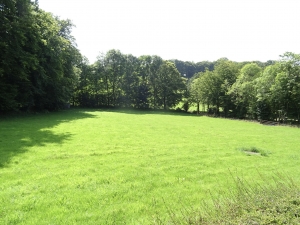 Detached Country House with Open Views