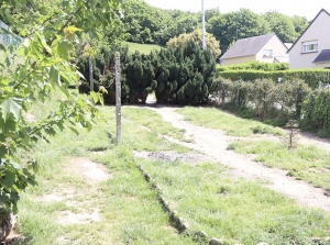 Detached House with Garden in Nice Location