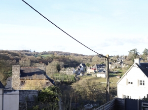 Town House with Neat Garden