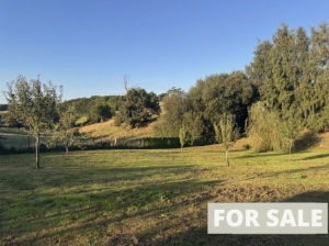 Detached Country House with Open Views