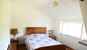 Two Separate Houses with Character