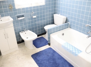 Lovely Town House in Good Order with Garden