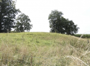 Main House with Second House and Outbuilding, Land