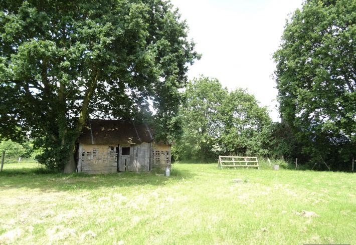 Detached Country House with Outbuildings