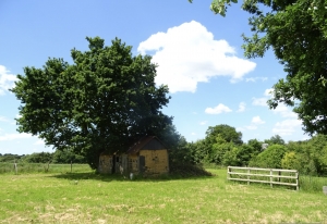 Detached Country House with Outbuildings