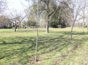 Detached Country House with Large Garden