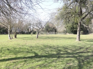 Detached Country House with Large Garden