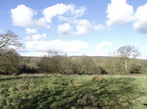 Detached Country House with No Neighbours