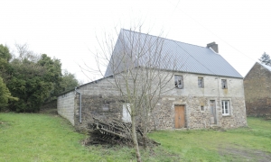 House to Renovate with Land and Lake