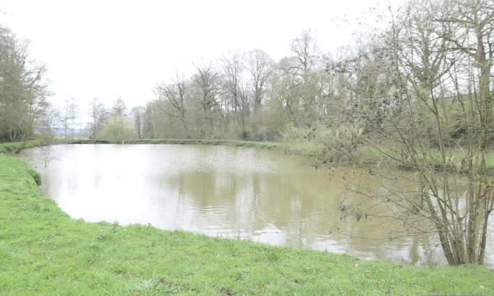 House to Renovate with Land and Lake