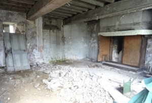 House to Renovate with Land and Lake