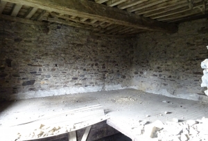 House to Renovate with Land and Lake