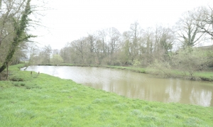 House to Renovate with Land and Lake