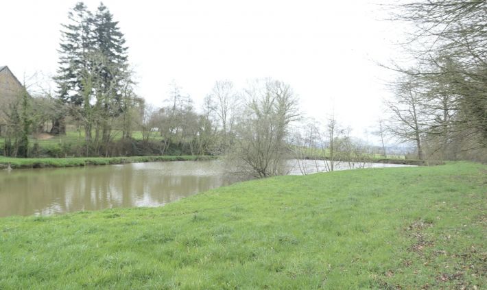 House to Renovate with Land and Lake