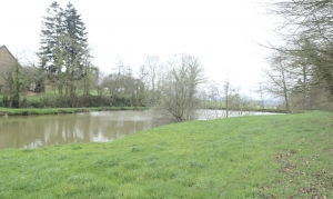 House to Renovate with Land and Lake