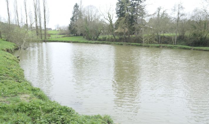 House to Renovate with Land and Lake