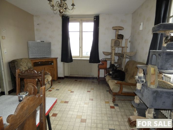 Detached House with Garden