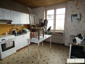 Detached House with Garden