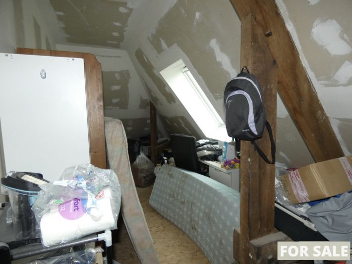 Detached House with Garden