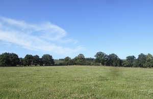 Farm House to Renovate in the Countryside