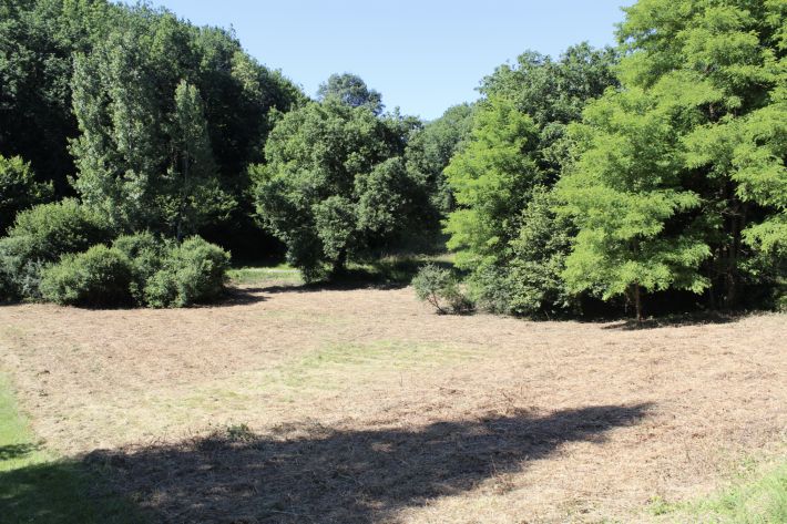 Building Plot on Outskirts of Village
