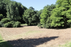 Building Plot on Outskirts of Village