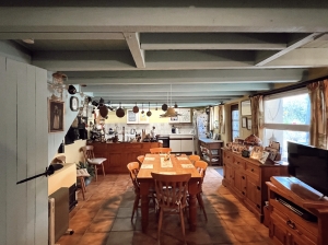 Two Houses For Sale in Rural Village