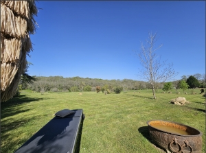Unique Offer, Not One, Not Two but Three Houses
