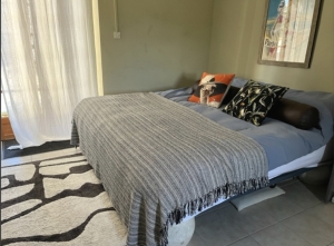 Unique Offer, Not One, Not Two but Three Houses