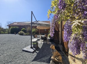 Unique Offer, Not One, Not Two but Three Houses