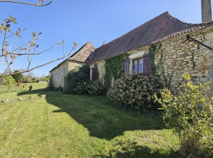 Unique Offer, Not One, Not Two but Three Houses