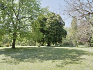 Manor House with Swimming Pool in Parkland Gardens