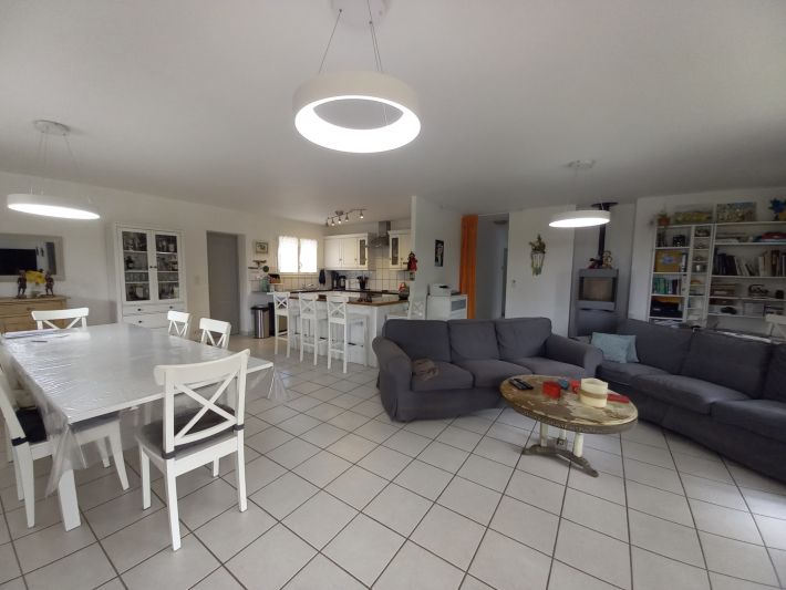 Spacious and Light Contemporary House