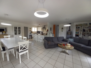Spacious and Light Contemporary House