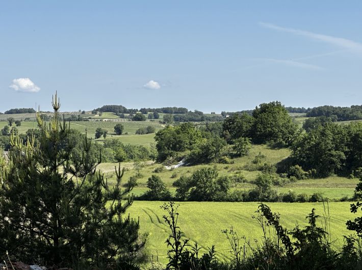 Main House, Guest House, Stables and Pool