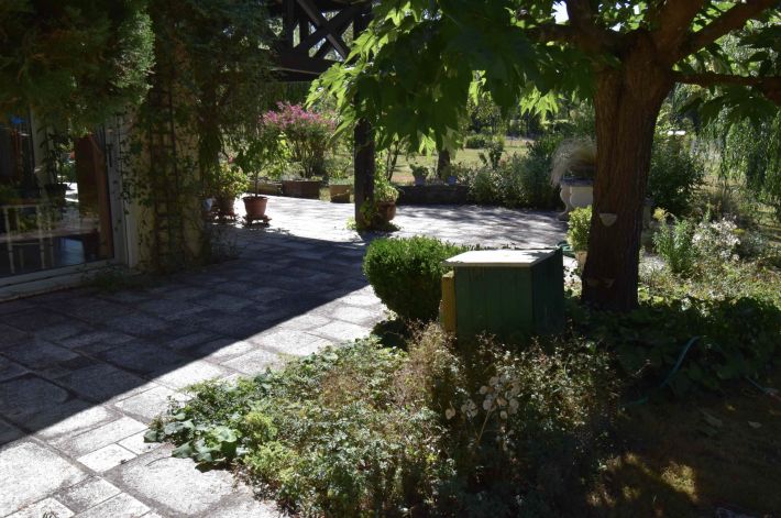 Unique Property with Pond and Pool and Land