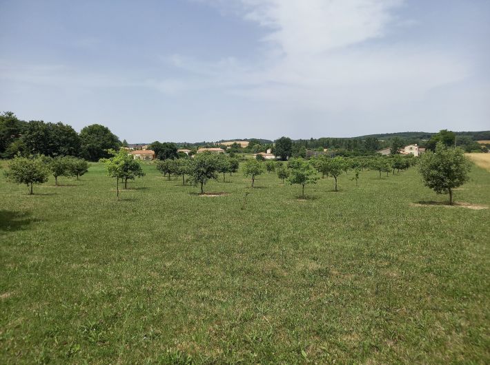 Detached Country House with Pond and Land