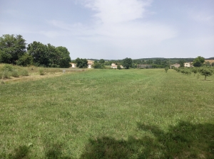Detached Country House with Pond and Land