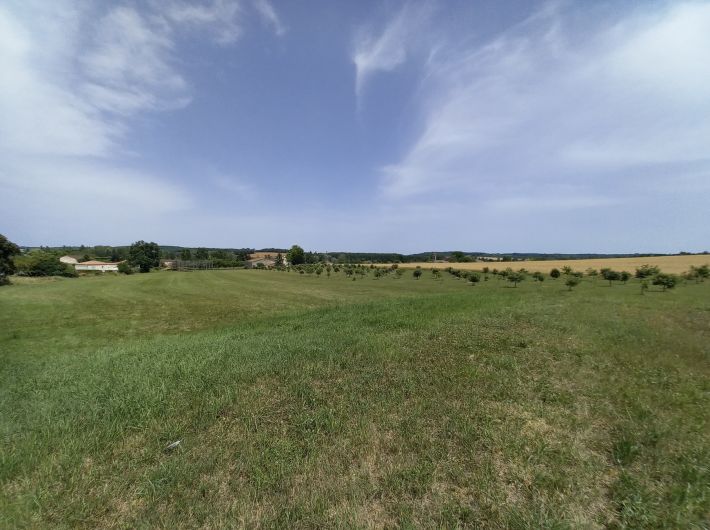 Detached Country House with Pond and Land