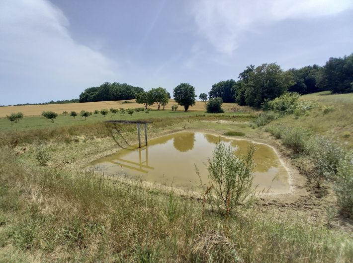Detached Country House with Pond and Land