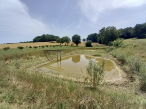 Detached Country House with Pond and Land