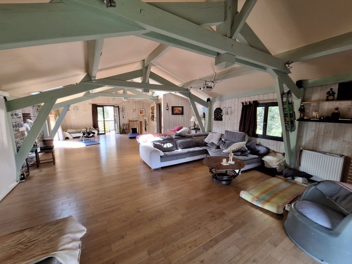 Huge Detached Country House with Pool and Land