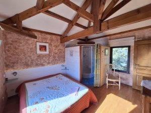 Huge Detached Country House with Pool and Land