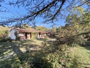 Huge Detached Country House with Pool and Land