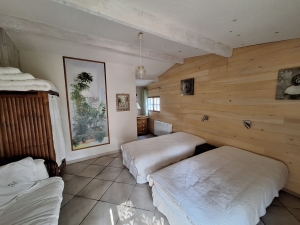 Huge Detached Country House with Pool and Land