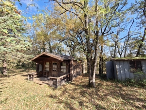 Huge Detached Country House with Pool and Land