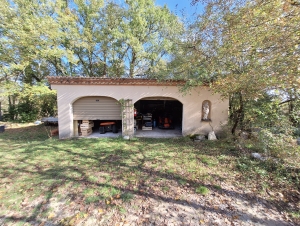 Huge Detached Country House with Pool and Land