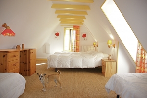 Beautiful Detached Period Property with Two Guest Gites and Pool